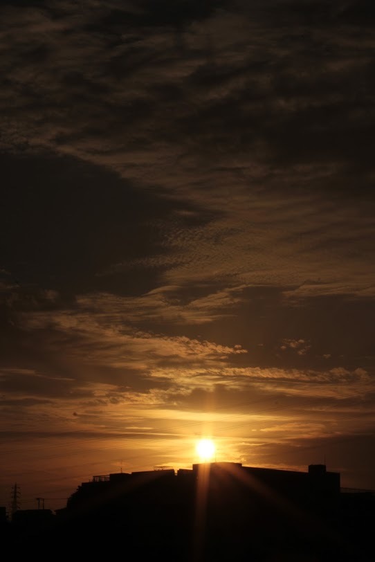 a0248459_16071377.jpg
