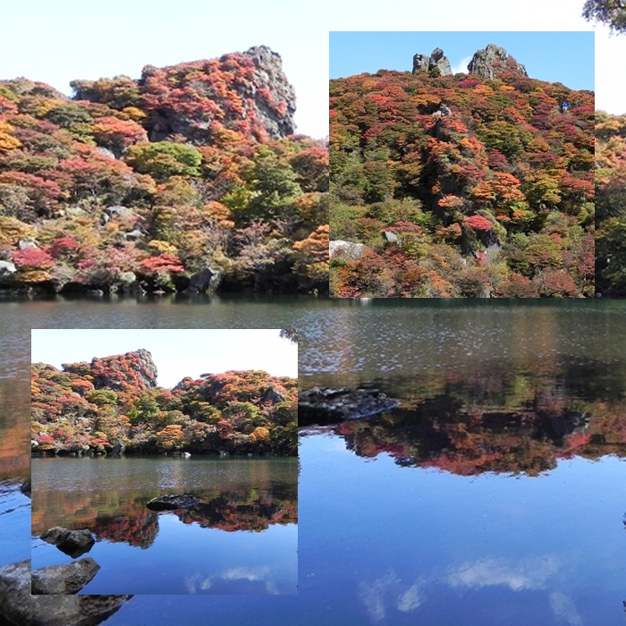 紅葉の季節に気もそぞろ・・・。_f0016066_2493335.jpg