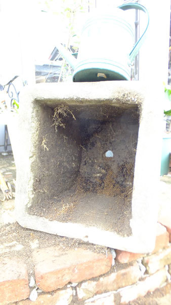 f0260167_14320556.jpg