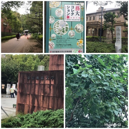 e0169073_09331511.jpeg