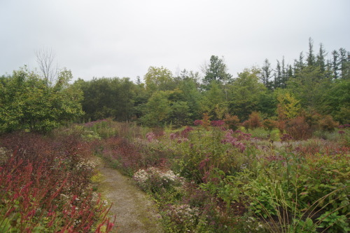 e0181373_22064831.jpg