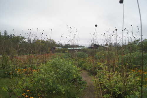 e0181373_22070424.jpg