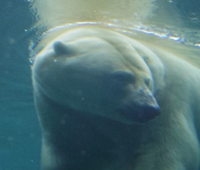 b0014576_15592484.jpg