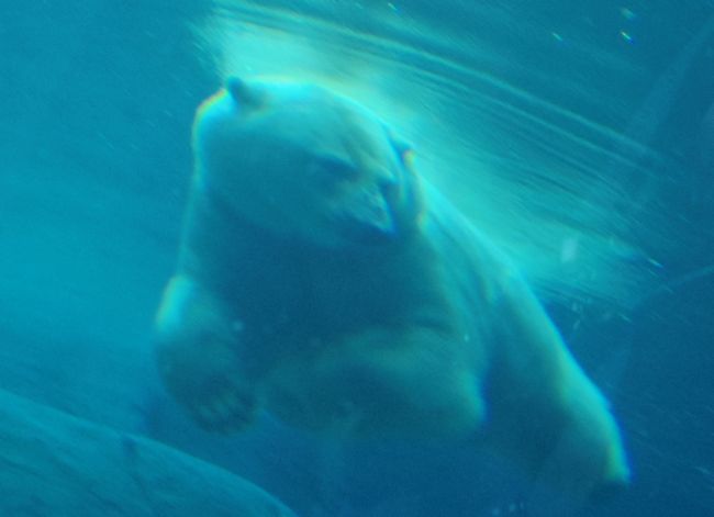 b0014576_15594250.jpg