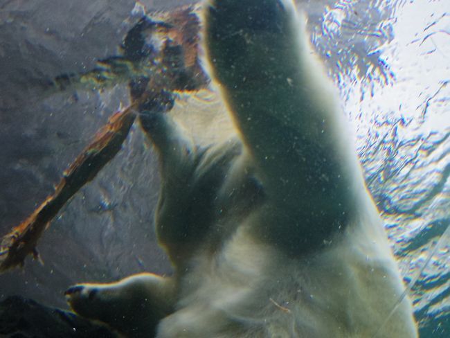 b0014576_15595801.jpg