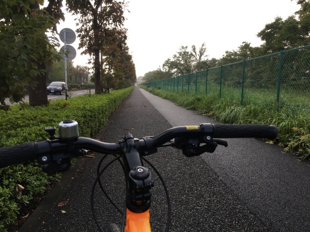 学校開放日とピカソ_c0023278_19323700.jpeg