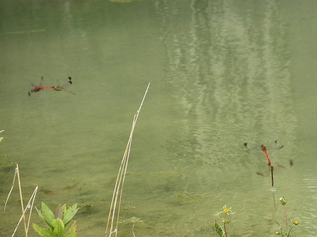 f0378979_07520298.jpg