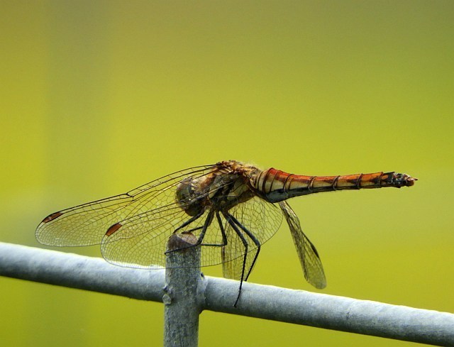 f0378979_07544781.jpg