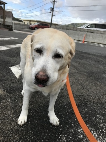 f0315081_21561575.jpeg