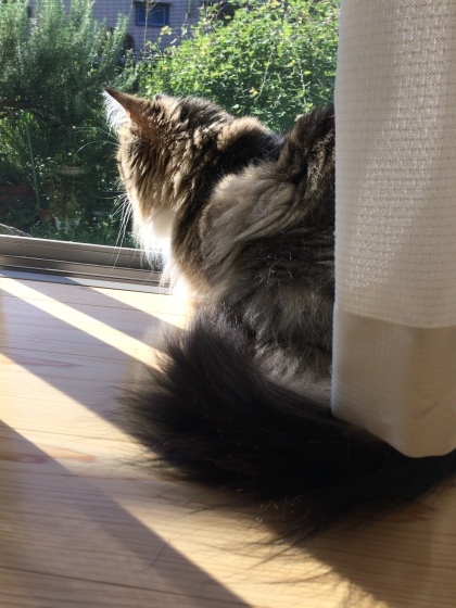 b0340883_10183545.jpeg