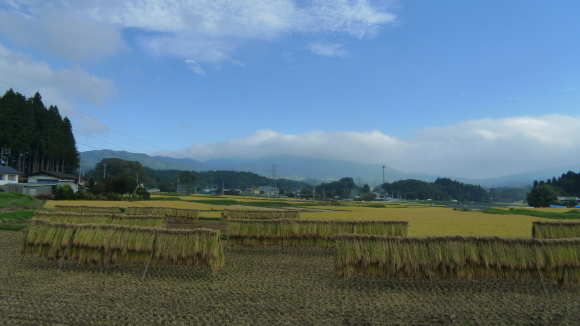 c0212083_19265349.jpg