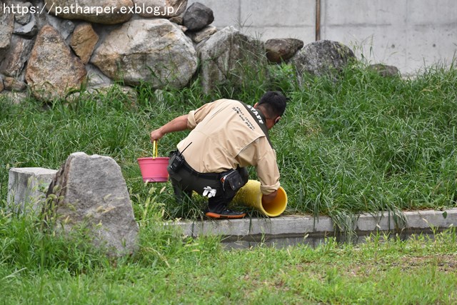 2018年9月 天王寺動物園 その3 Shilkaのオヤツ_a0052986_1071557.jpg