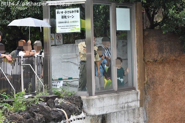 2018年9月 天王寺動物園 その4 ペンギンガイド_a0052986_20292170.jpg