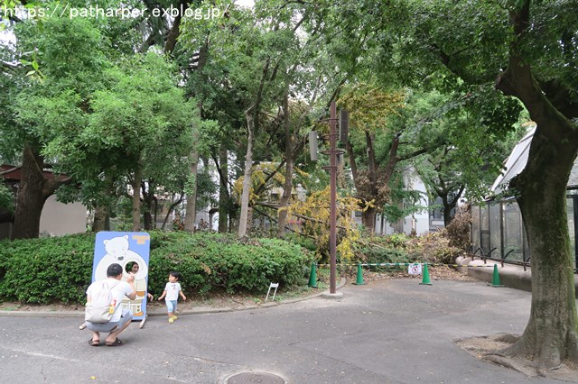 2018年9月 天王寺動物園 その4 ペンギンガイド_a0052986_20424944.jpg