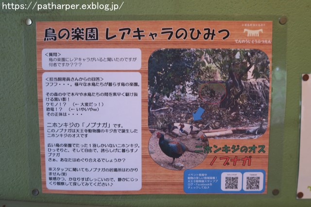 2018年9月 天王寺動物園 その1 鳥のガイド_a0052986_8161724.jpg
