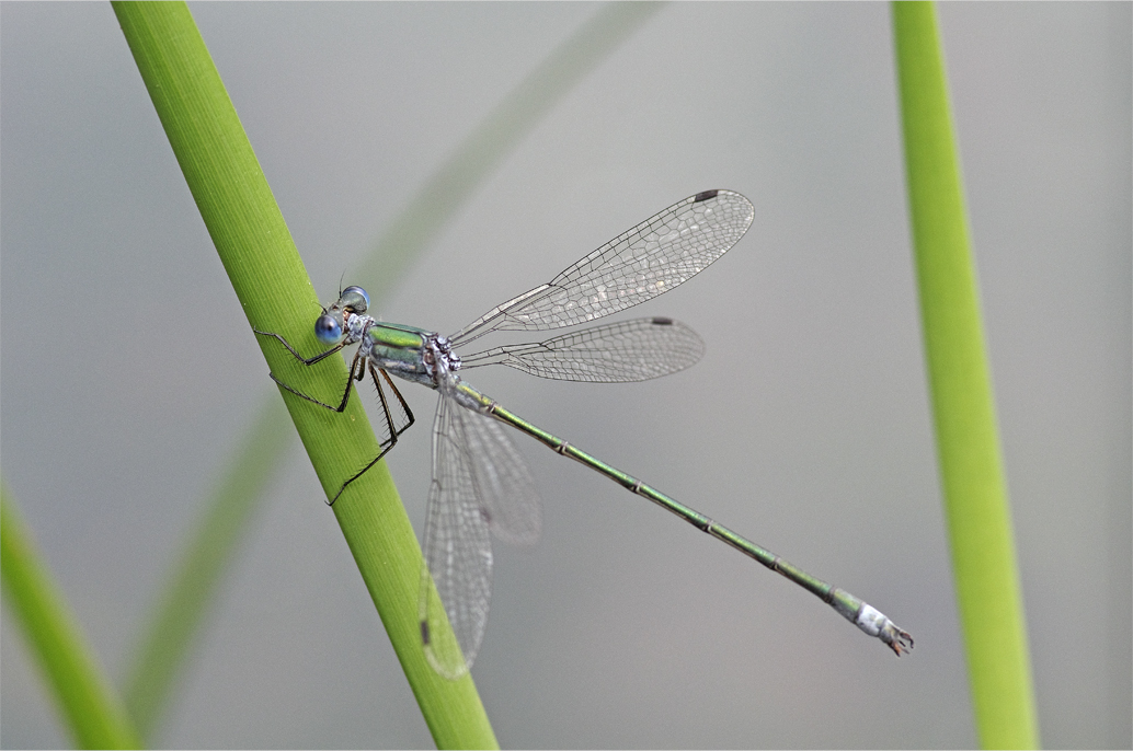 d0209988_22120599.jpg