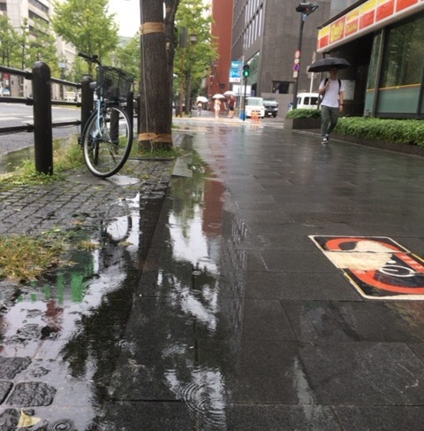 大阪 台風予測より1日早い_f0253789_08411574.jpeg