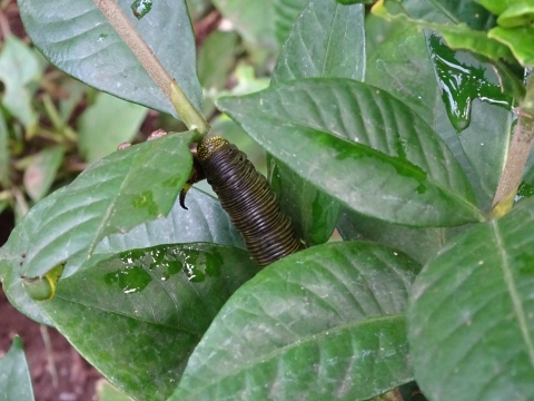 c0322794_22583119.jpg