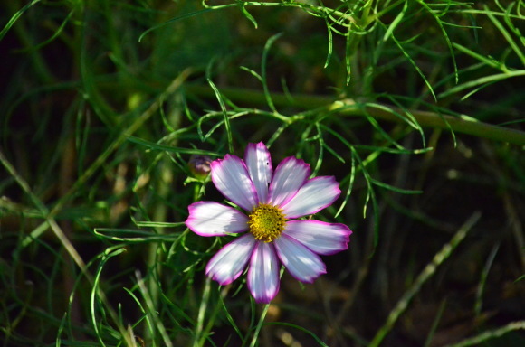 a0288500_08150967.jpg