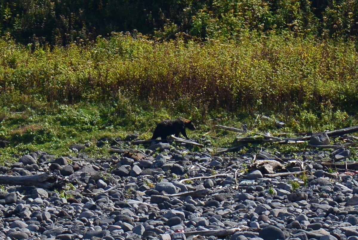 d0288500_09074135.jpg