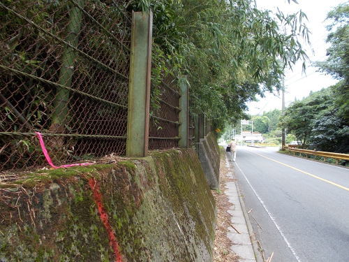 山口市 外来ヤギ？出没　山で野生化「最近まで飼育か」_b0398201_13412991.jpg