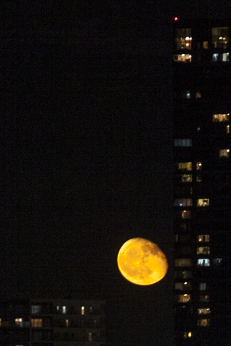 c0367403_18324547.jpg