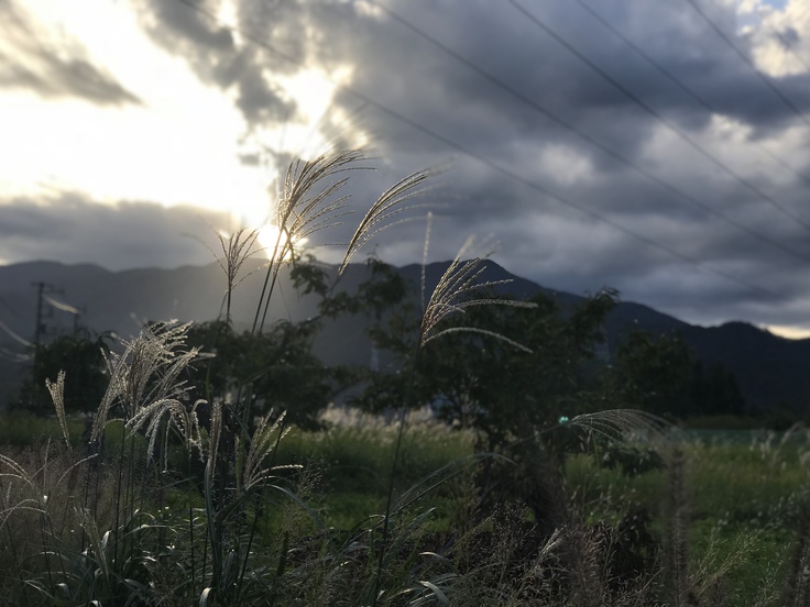 部活の後は 山で芝刈り〜!晩ごはんも作った。_c0212604_19232261.jpg