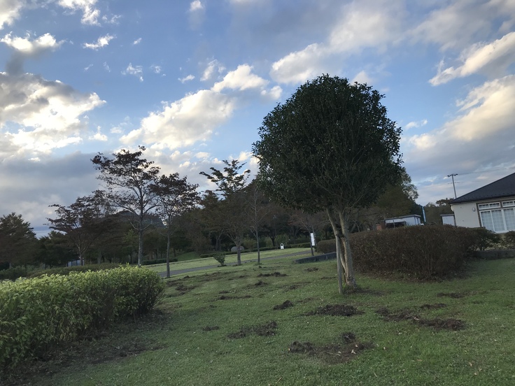 部活の後は 山で芝刈り〜!晩ごはんも作った。_c0212604_19243971.jpg