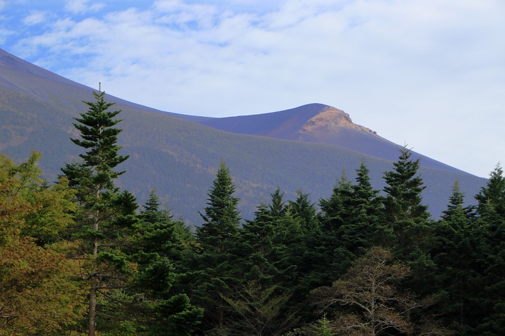 a0188405_22222728.jpg