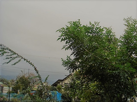 c0112206_07242503.jpg