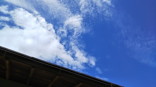 c0359306_12444637.jpg