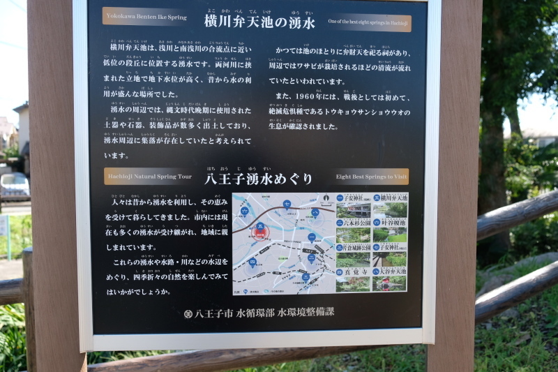 d0051707_14530560.jpg