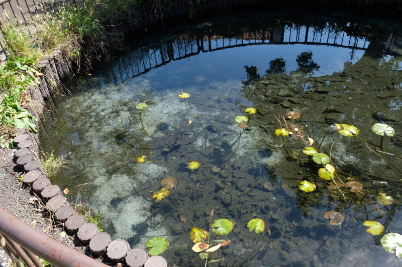 d0051707_20232430.jpg