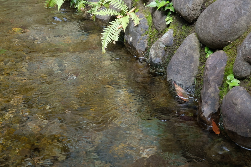 d0051707_20263108.jpg