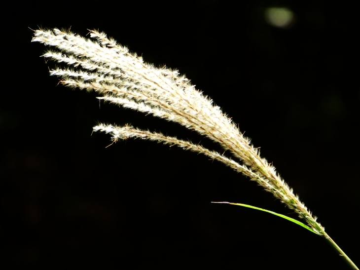 c0062511_23381156.jpg