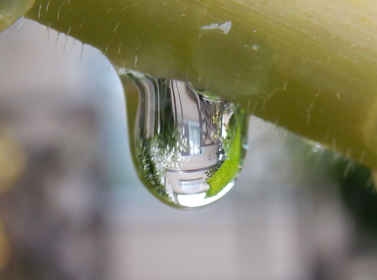 25号崩れの温帯低気圧が抜けて_c0025115_22243996.jpg