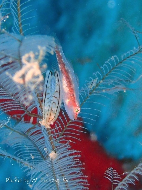 c0211615_11364803.jpg