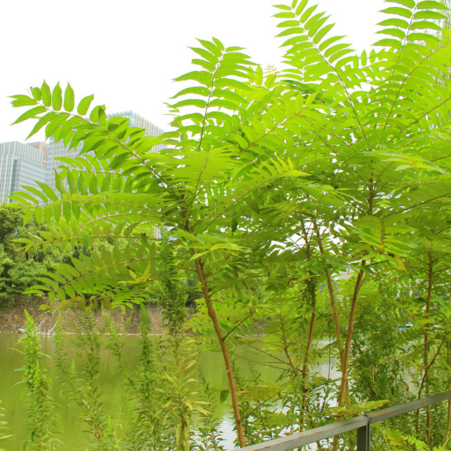 a0329820_01333917.jpg