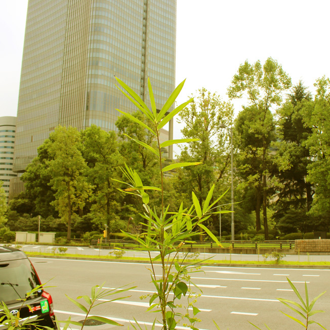 a0329820_01340965.jpg