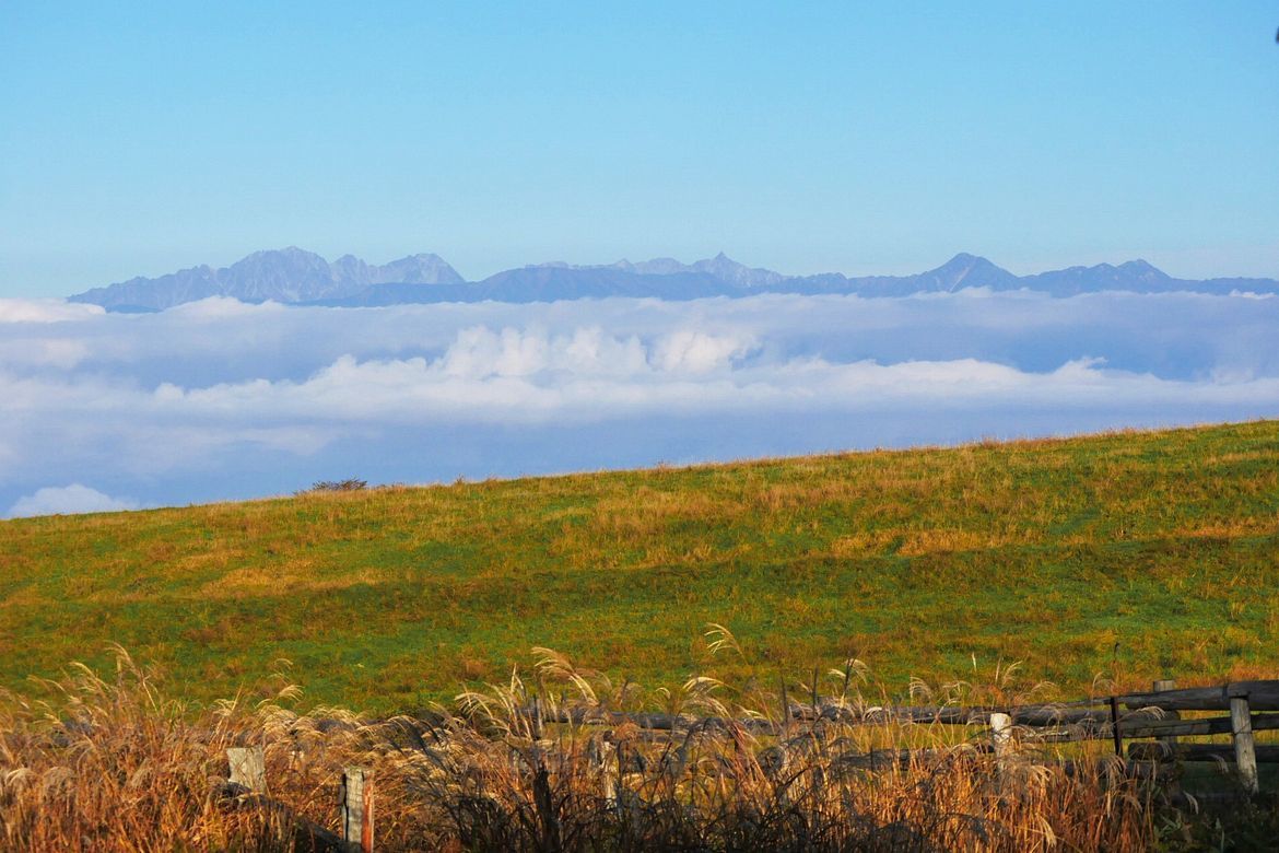 天空の高ボッチ牧場の朝・・・雲海に浮かぶ北アルプスの名峰がズラリ♪_a0031821_09232127.jpg