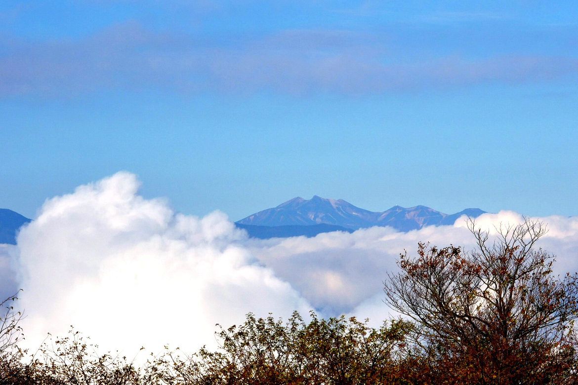 天空の高ボッチ牧場の朝・・・雲海に浮かぶ北アルプスの名峰がズラリ♪_a0031821_09445120.jpg