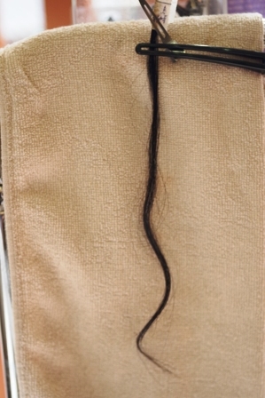 c0109726_19153861.jpg