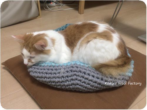 猫ちぐら　作ってみた_f0213426_15321843.jpg
