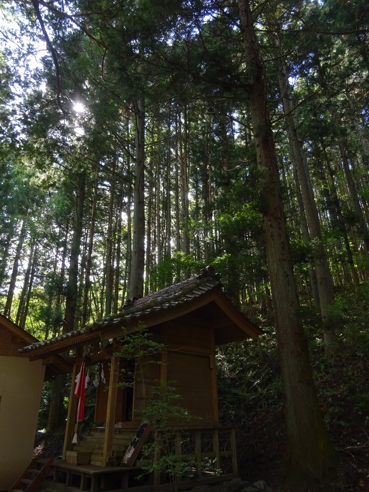 c0111229_18344284.jpg