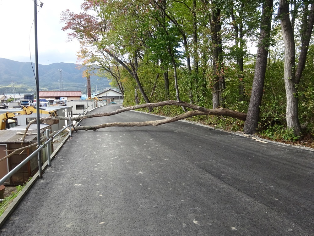 台風２５号崩れの強風_c0111229_18345816.jpg