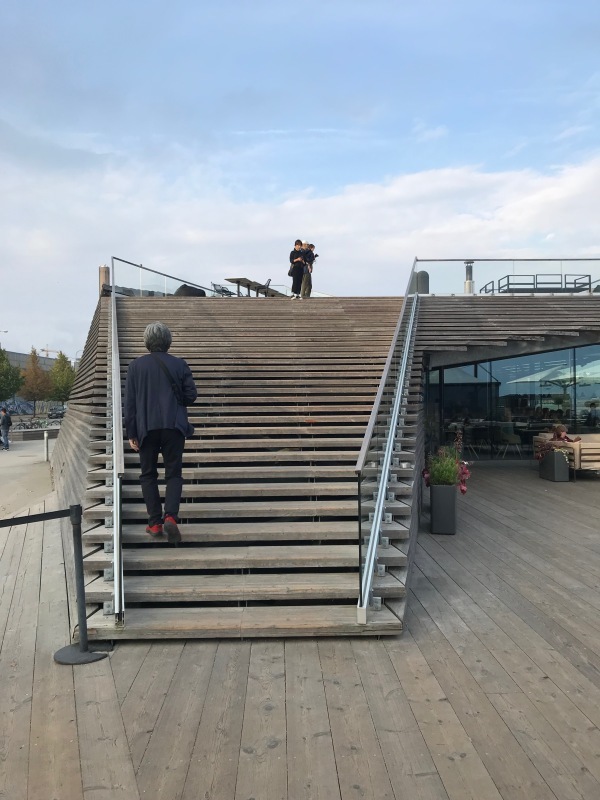 ■北欧近代建築を巡る旅 アールト&アスプルンド 5日目 フィンランドサウナを体験!!_f0165030_18341353.jpg