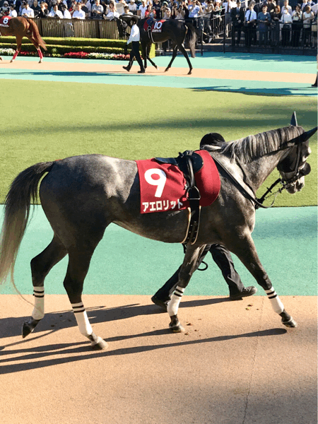 f0347130_23264961.gif
