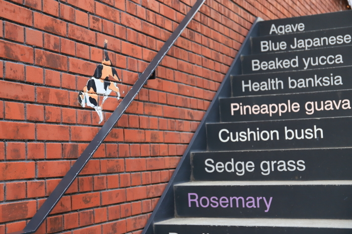f0348831_21471953.jpg