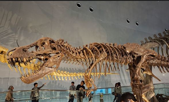 c0359235_23182362.jpg