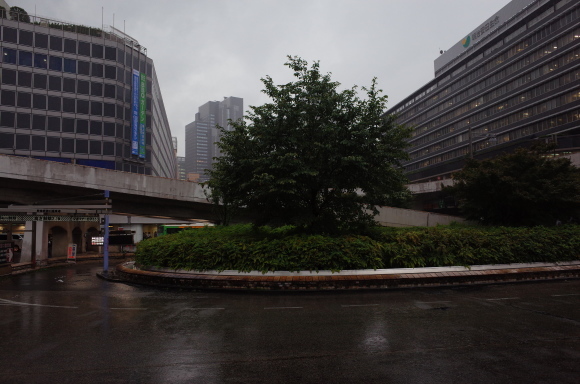 a0287336_23320336.jpg
